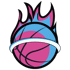 Miami Heat Logo đội