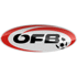 Áo Logo đội